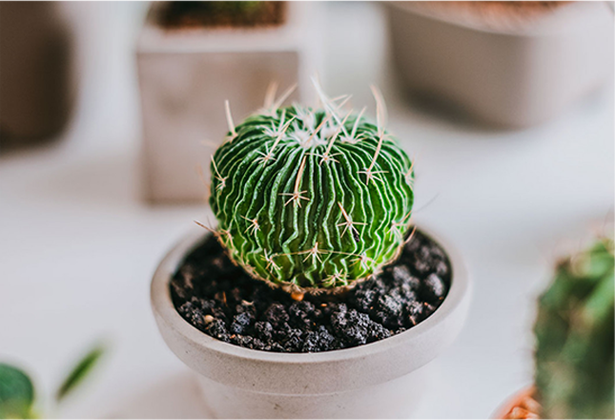 100% Polyester Fabric